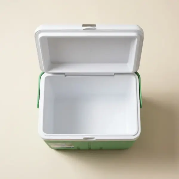 Portable Small Hard Ice Retention Camping Cooler interior-5L