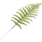 Green A