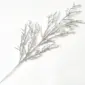 Silver C