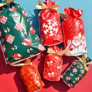 Santa Snowflake Drawstring Gift Bags for Treats & Holiday Favors 1