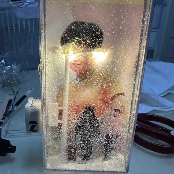 2026 Christmas Crafts Snowy Night Lamp Decor Arts and Crafts Night Street Lamps for Girls Snow Scene Night Light Desk Light 5