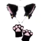 black 2PCS