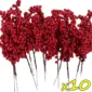 10 Branches