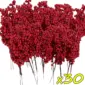 30 Branches