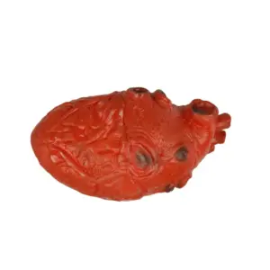 Fake Human Heart Prop