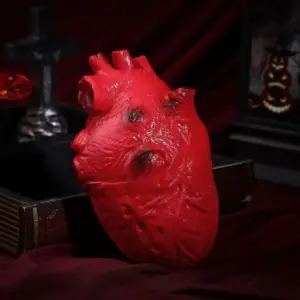 Fake Human Heart Prop heart