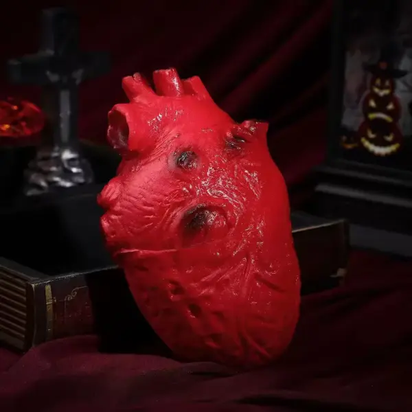 Fake Human Heart Prop heart