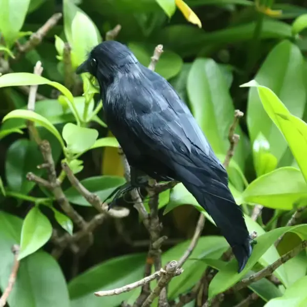 Fake Raven Crow Decoration – Realistic Feathered Black Bird Prop for Halloween