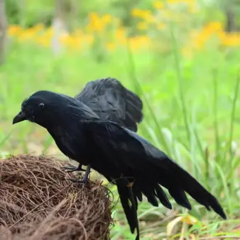 Fake Raven Crow Decoration – Realistic Feathered Black Bird Prop for Halloween Displays Green