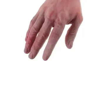 Fake Severed Arm Halloween Prop hand