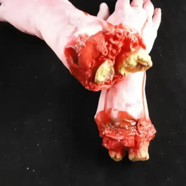 Fake Severed Arm Halloween Prop with blood