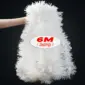 White-6m