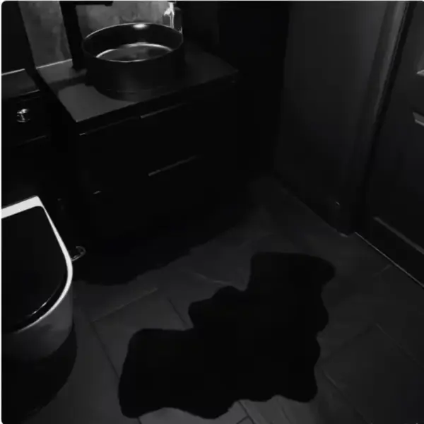 Halloween Bat Shaped Bathroom Rug in dark