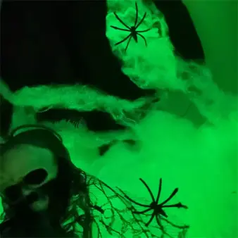 Halloween Spider Web Decoration