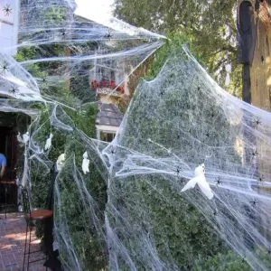 Halloween Spider Web Decoration spider