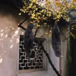 Realistic Black Crow Halloween Prop Feathered Hanging Raven Ornament for Outdoor Yard, Garden & Haunted House Decor on tree