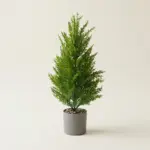Realistic Faux Cypress Artificial Small Pine Tree for Indoor & Festive Decor single