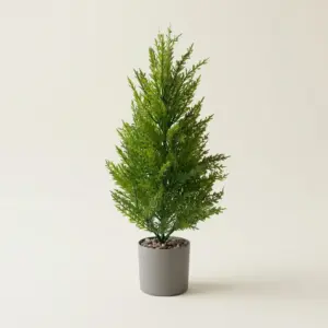 Realistic Faux Cypress Artificial Small Pine Tree for Indoor & Festive Decor single