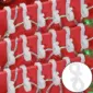 30pcs