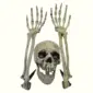 2Hand and 1Head