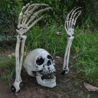 Skeleton Garden Stakes for Halloween Ground Insert Skull Head & Bony Hand Props for Yard Lawn & Path Decor on ground