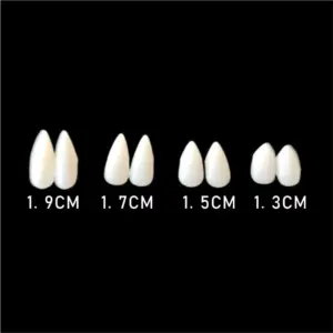 Vampire Fangs Fake Teeth – Resin Cosplay Fang Set with Adhesive Glue in 1.3cm 1.5 cm 1.7 cm 1.9cm Sizes