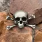 bone skull