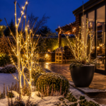 outdoor garden