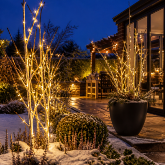 outdoor garden
